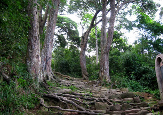duong-tung150413