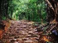 Dốc Hạ Kiệu