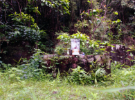 Am Dược Tiên