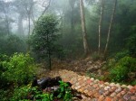 Dấu tích vua Trần