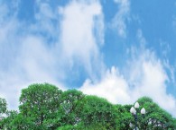 Vân Du Học Đạo
