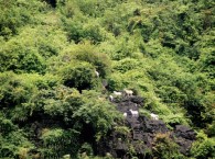 Hang Sơn Dương