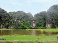 Hang Thong Thày