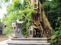 Hương Khói Giải Oan