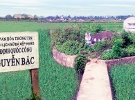 Mộ cổ Nguyễn Bặc