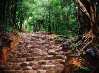 Đường vào Yên Tử