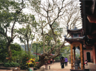Sân Chùa