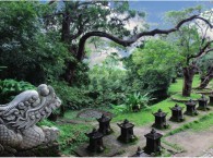 Mắt Rồng