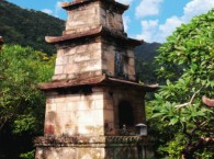 Sư Diệu Tín