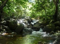 Suối tắm