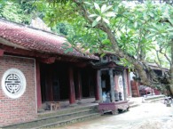 Xuân Về